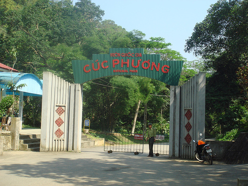 Kinh nghiem du lich rung Cuc Phuong