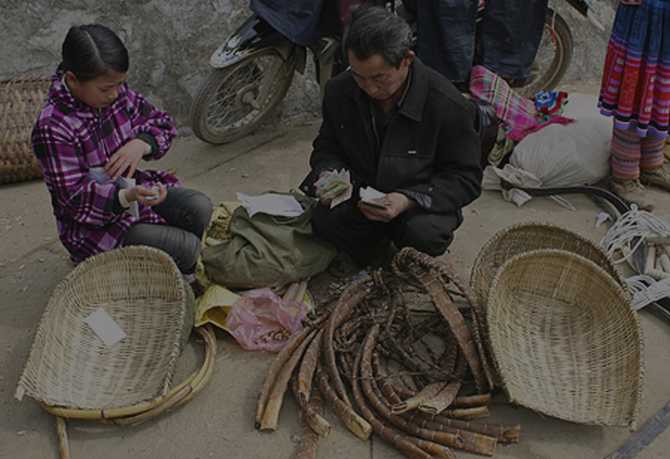 Len Bac Ha de duoc di cho long trong cho - 5