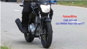 Nakedbike gia re cua Yamaha da ve Viet Nam - 3