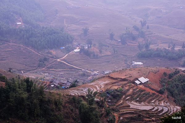 Kham pha rung sao bang tren dinh muoi - 6