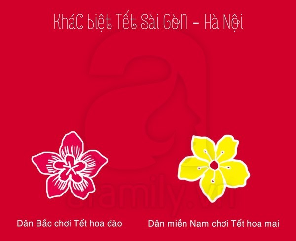 Tet o Sai Gon Ha Noi khac nhau o diem nao - 3