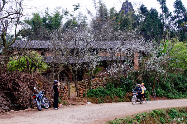 Chao don xuan Giap Ngo bang mot chuyen di - 2