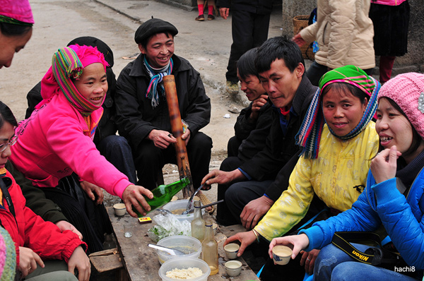 Chao don xuan Giap Ngo bang mot chuyen di - 3