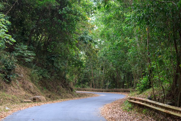 Chinh phuc Hon Ba may mu suong phu - 4