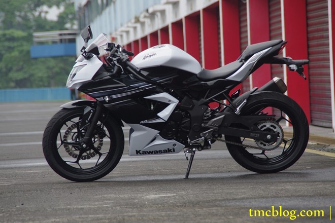 Kawasaki gioi thieu sportbike Ninja RR Mono 250cc - 2