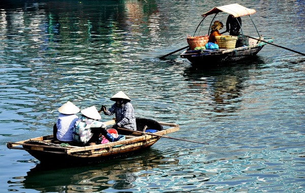 Cung duong bao bien dep nhat Ha Long - 5