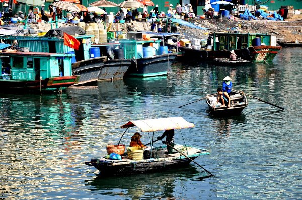 Cung duong bao bien dep nhat Ha Long - 6