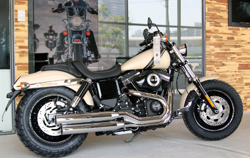 Dyna Fat Bob moto la mat cua Harley Davidson - 5