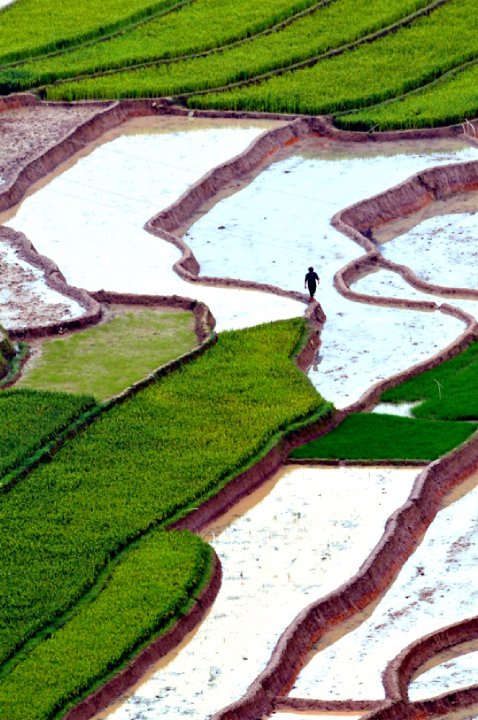 Ngam Mu Cang Chai quyen ru mua nuoc do