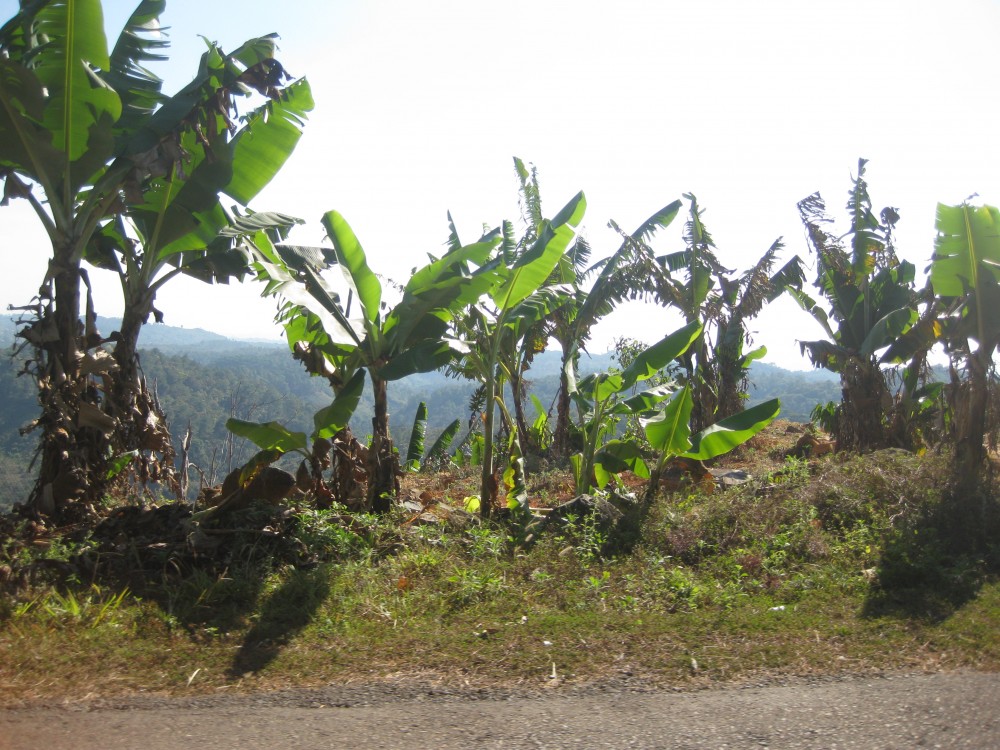 Sai Gon Ke Ga Di Linh Da Lat 2n1d p2 - 14