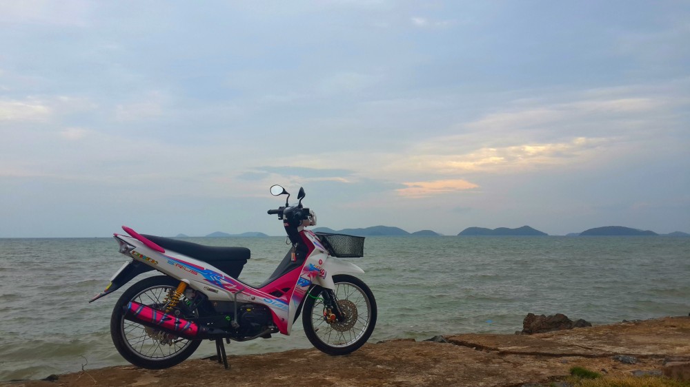 Sirius trắng hồng biên giới biển " Việt - Cam " | 2banh.vn