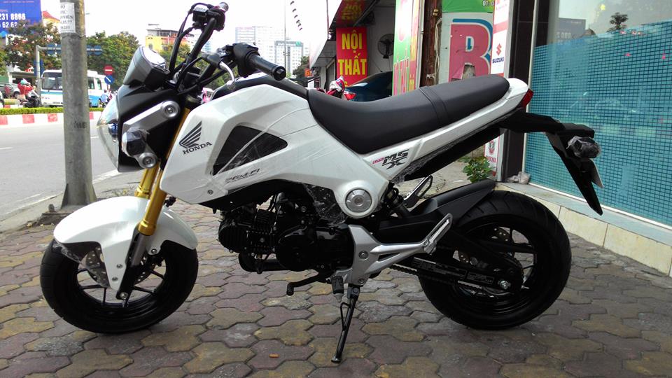 Chi tiết 95 xe moto mini 125cc mới nhất  thdonghoadian