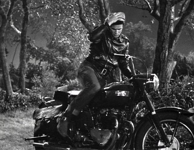 Cau chuyen ve hang xe moto duy nhat tai My Harley Davidson - 3