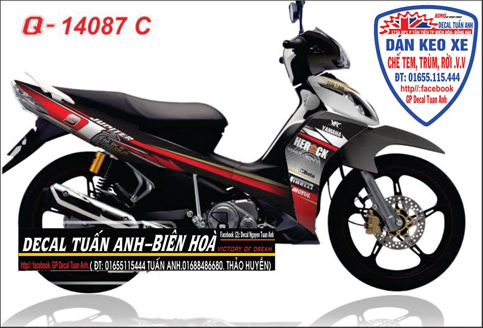 DECAL TUAN ANH TP BIEN HOA DECAL XE MAY O TO KIENG NHA VV - 16