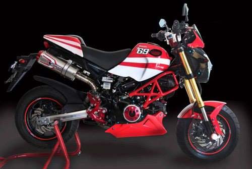 Honda MSX do thanh sieu moto Ducati - 2