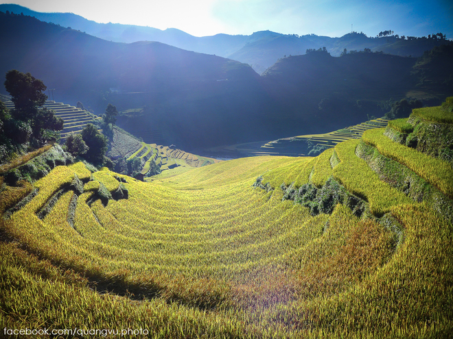 Co ai den Mu Cang Chai mua nay chua - 2