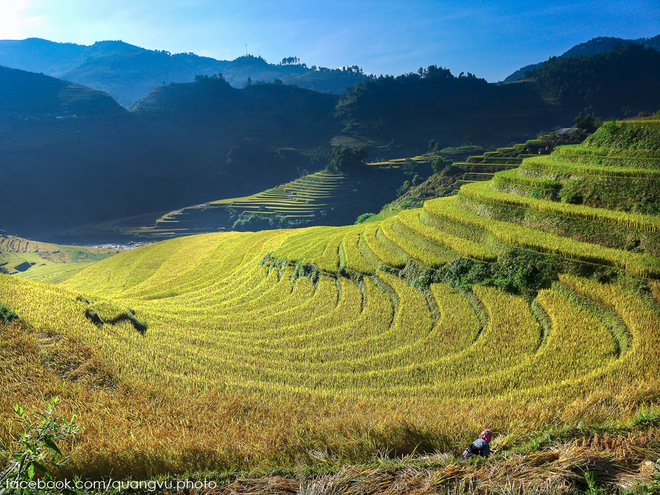 Co ai den Mu Cang Chai mua nay chua - 3