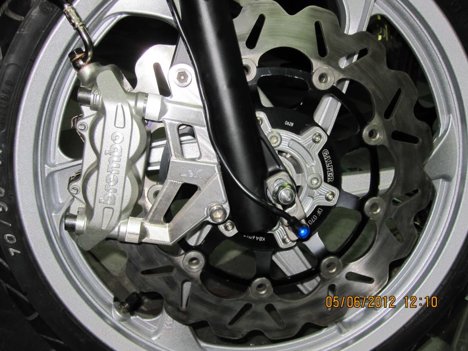 Vai hinh anh ve nhung con heo Brembo cung patch