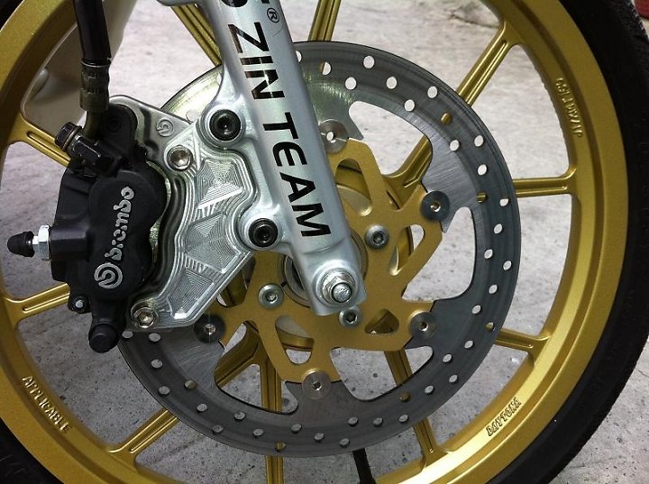 Vai hinh anh ve nhung con heo Brembo cung patch - 2
