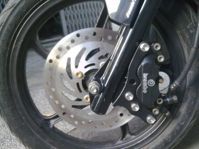 Vai hinh anh ve nhung con heo Brembo cung patch - 4
