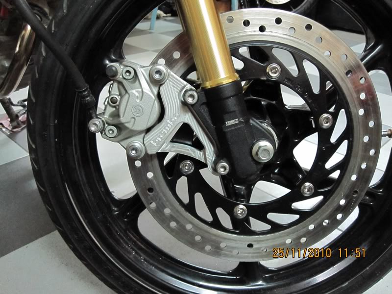 Vai hinh anh ve nhung con heo Brembo cung patch - 6