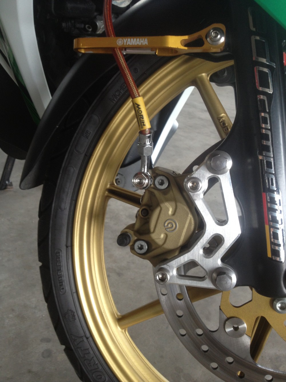 Vai hinh anh ve nhung con heo Brembo cung patch - 7