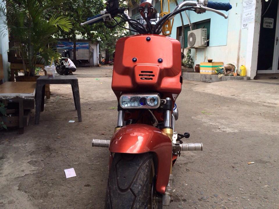 Honda Zoomer do doc voi banh sau sieu bu - 2