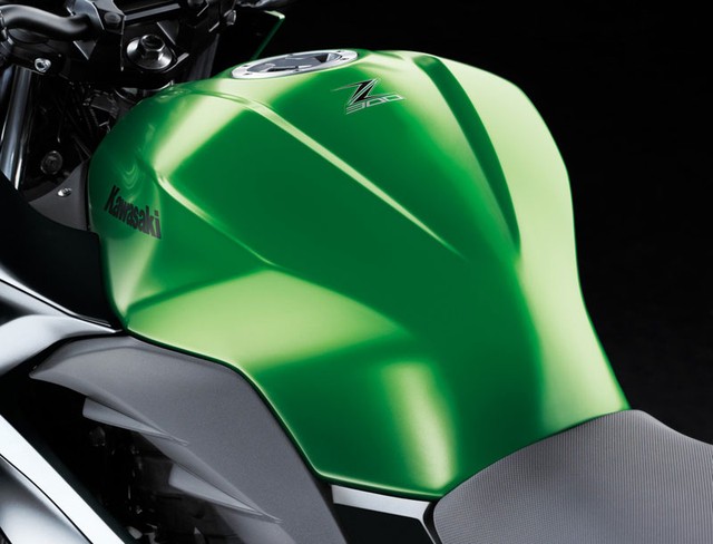 Kawasaki Z300 2015 da co gia ban - 10