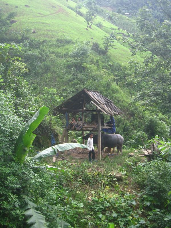 Chinh phuc de nhat thac Hang Te Cho o nui rung Tay Bac - 13