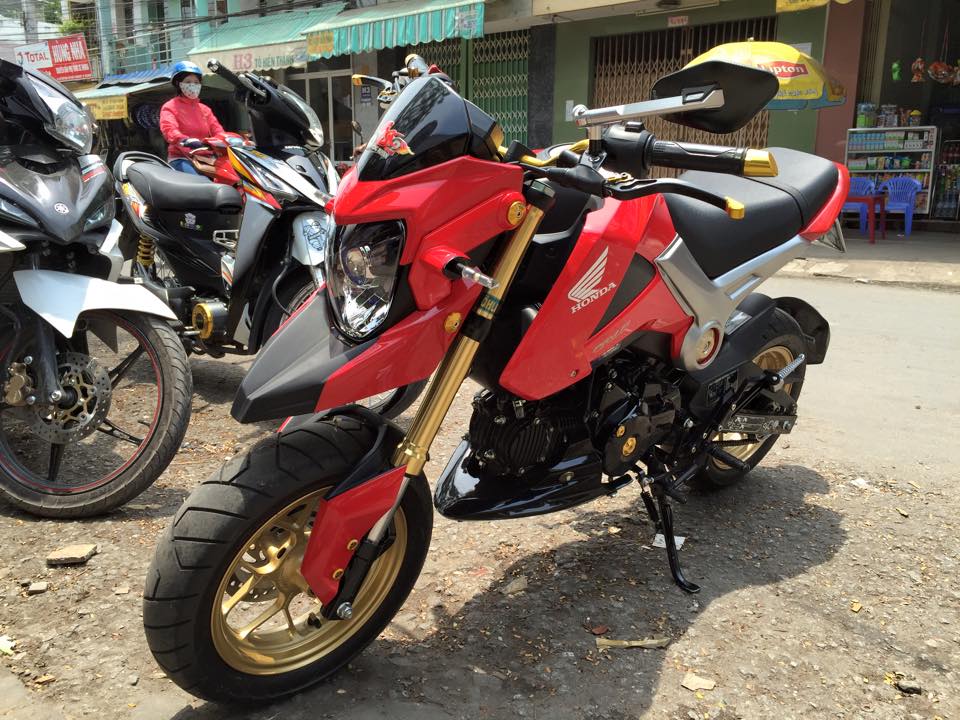 MSX do kieng mang phong cach Ducati Hyperstrada - 7