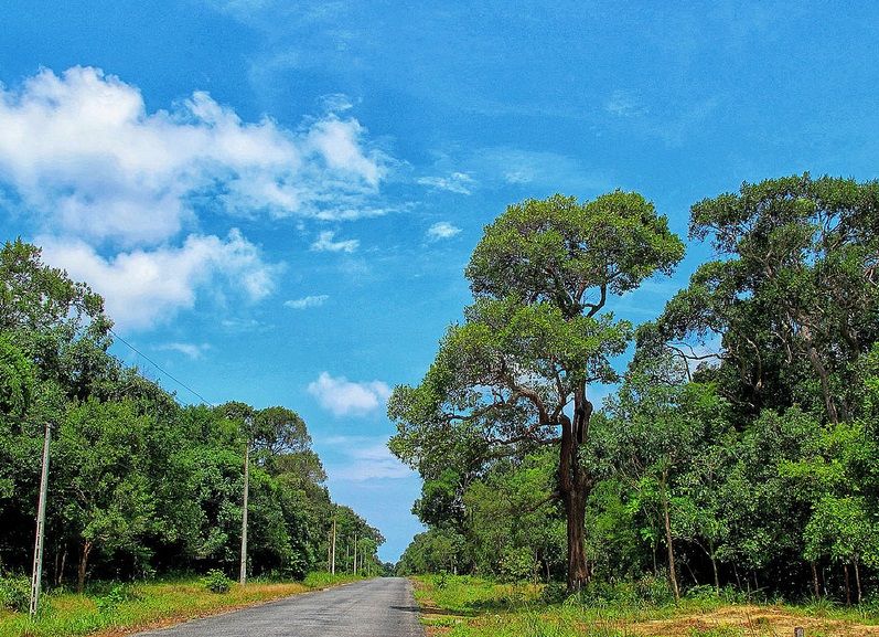 Huong dan di phuot Phan Thiet bang cung duong ven bien - 4