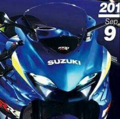 Lo hinh anh dau tien Suzuki GSX250 2016 - 2