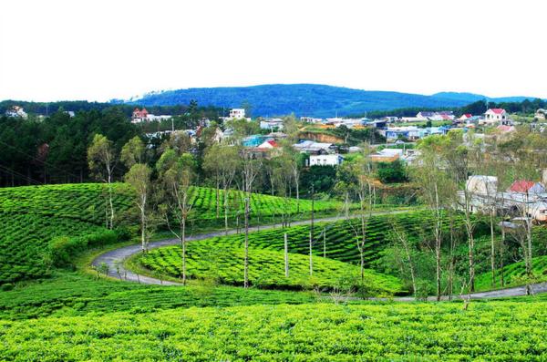 Kham pha va trai nghiem ngoai o DA LAT - 2