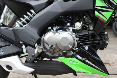 Kawasaki Z125 tuyet dep trong bo canh xanh 2016 - 4