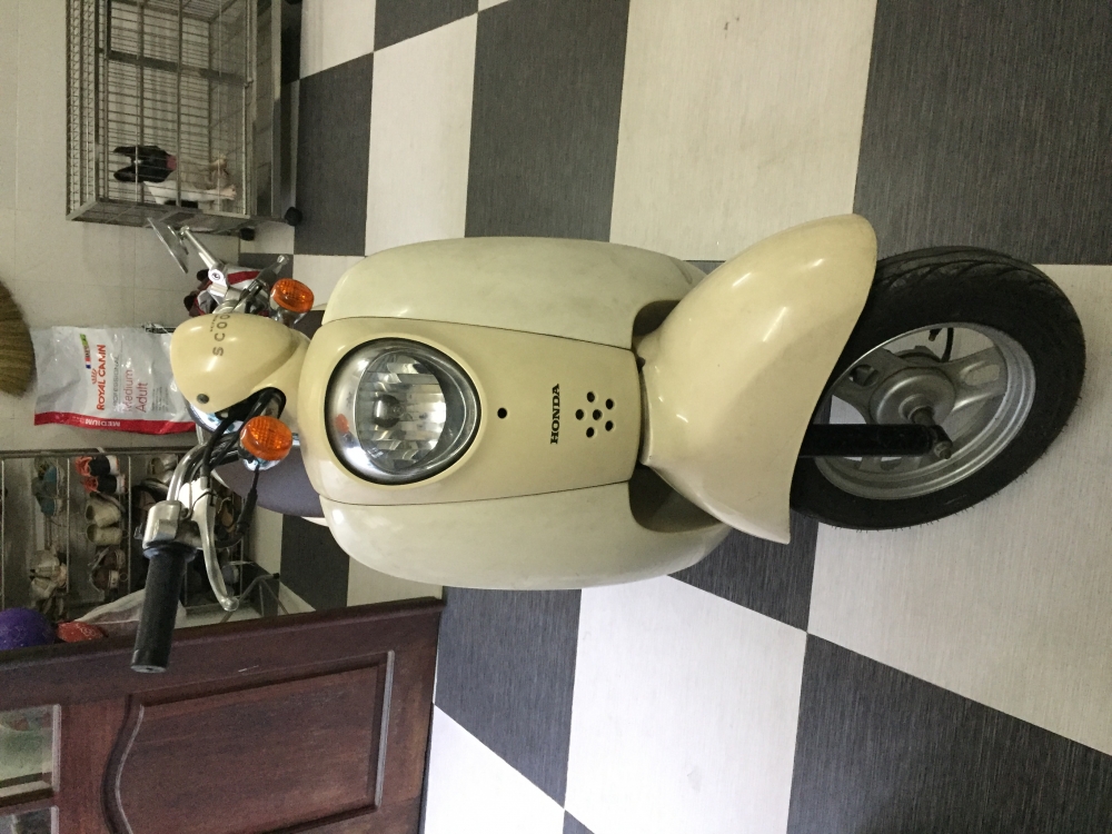 Xe scoopy 50cc - 5