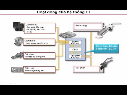 Cach khac phuc triet de benh hup ga dau rung dau cac dong xe 125cc o Viet Nam - 2