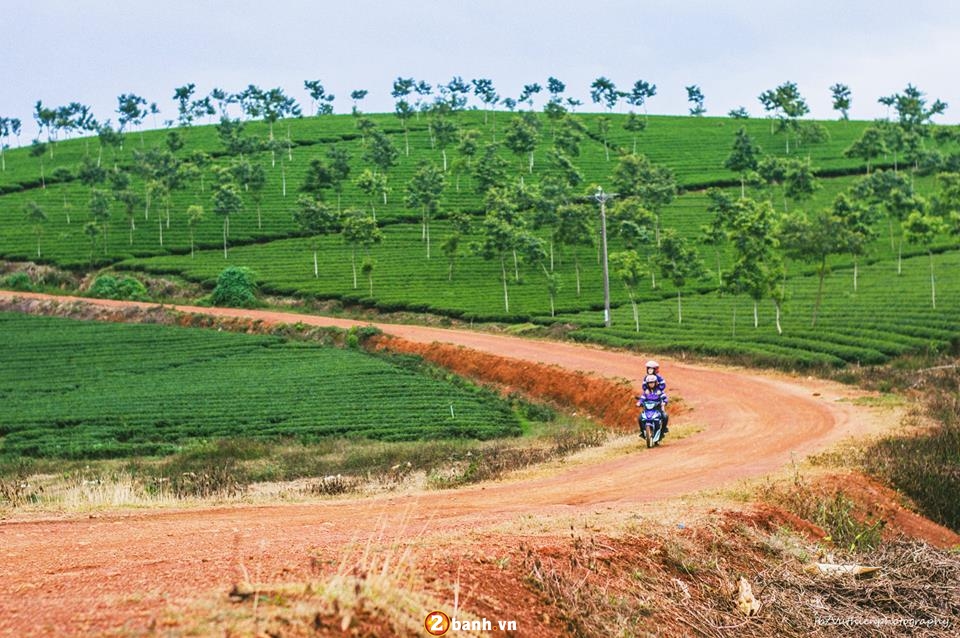 Bo anh dang yeu cua cap doi tren cung duong phuot Lam Dong - 7