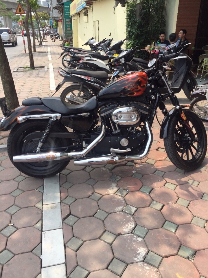 Ban Harley Davidson 883 - 2