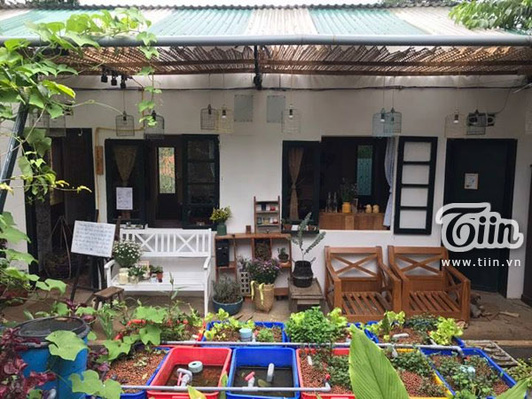 Homestay Da Lat chu nha di vang khach muon gi tu phuc vu - 8