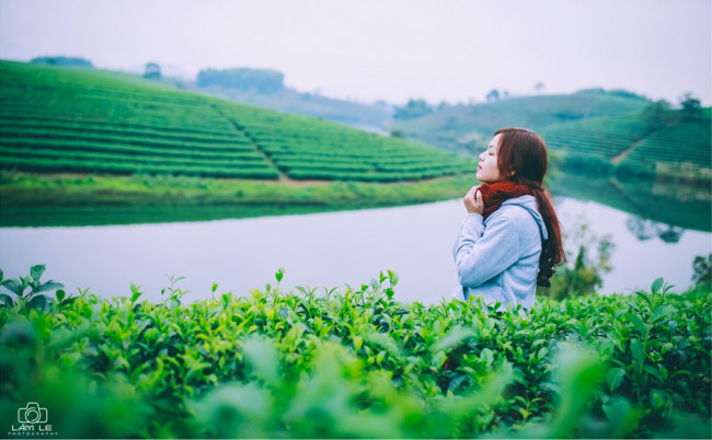 Doi che Thanh Chuong Dao che Xu Nghe nen tho huu tinh - 2