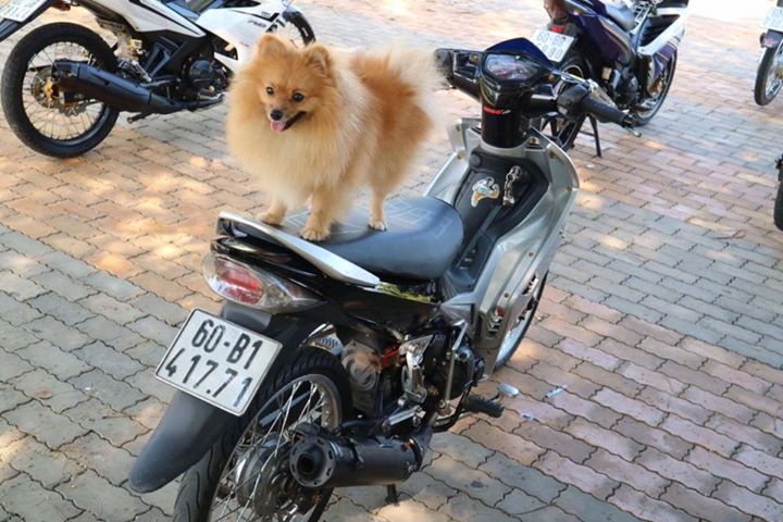 Exciter 135 do sieu manh me voi co may 57zz - 7
