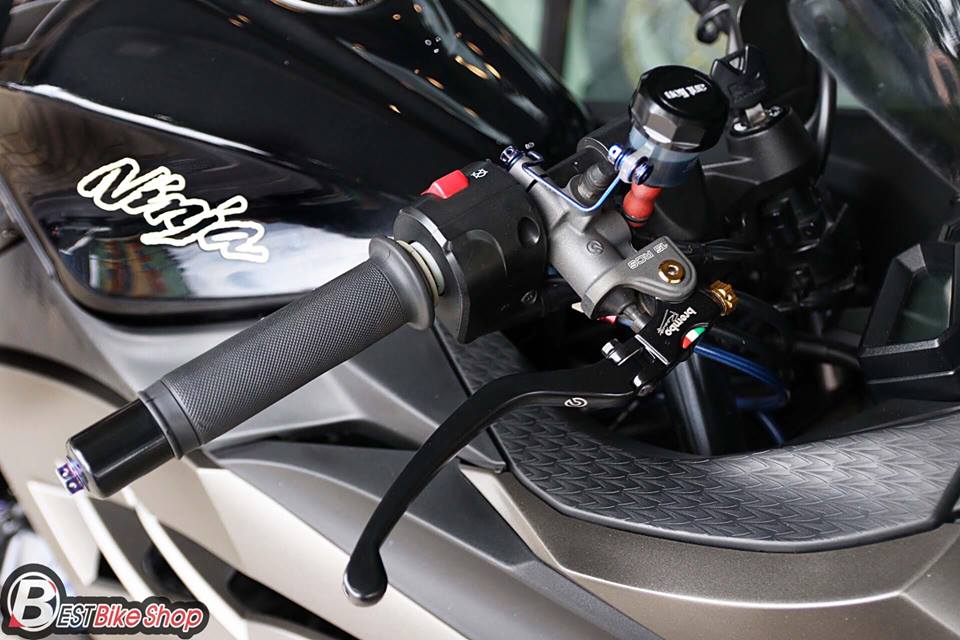Kawasaki Ninja 300 do kich doc voi than hinh Matte Black - 5