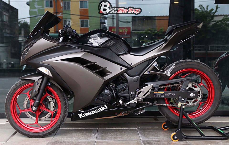 Kawasaki Ninja 300 do kich doc voi than hinh Matte Black - 13