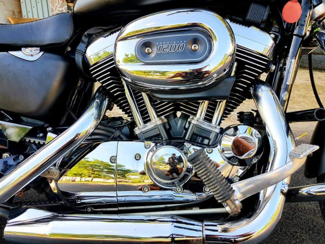 Ban Harley davidson xl1200cc custom - 4