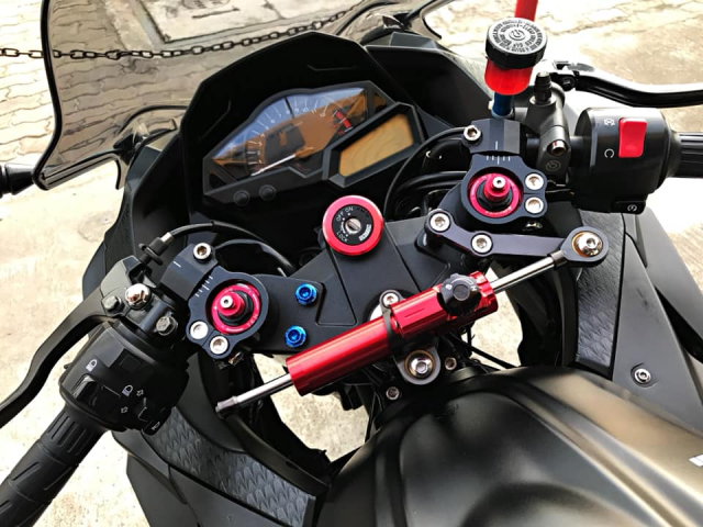 Kawasaki Ninja 300 nang cap day tinh te voi gam mau Matte Black - 3