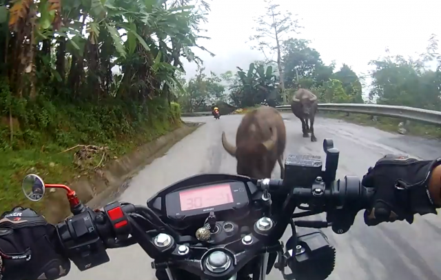 Clip Biker di Raider bi trau huc truc dien vi xu ly loi - 3