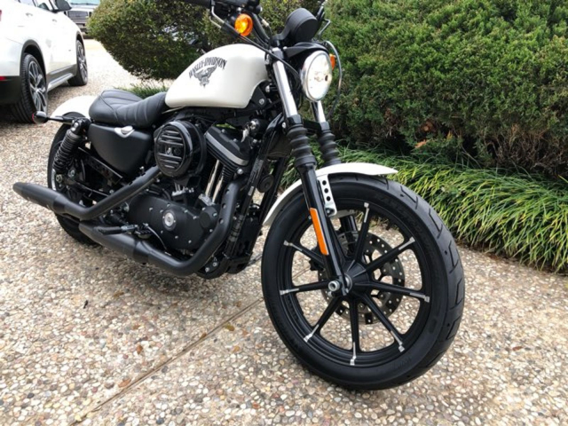 Can Ban Harley Davidson XL883N - 2
