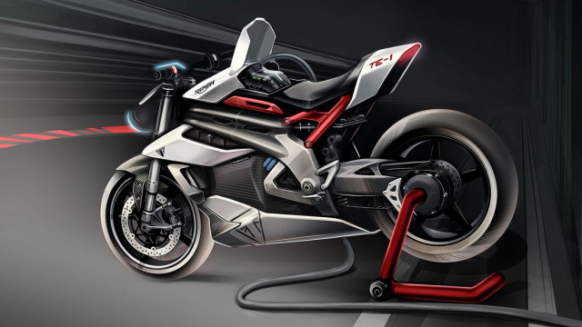 Triumph tiet lo giai doan 2 cua mau xe may dien TE1 - 15