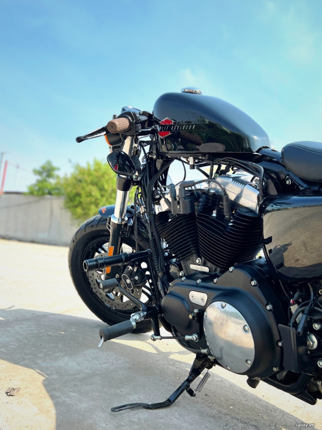 ___Can Ban ___HARLEY 48 Hell Cat 2019___ - 14