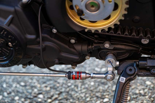 Indian Scout Rogue do boi Hardnine Choppers - 9